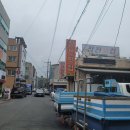 자연산 전문 창포동 청진횟집 방문기/포항
