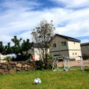 동백해비치펜션 이미지