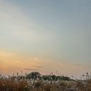 초은초등학교 거울공원 남측 | 가을의 끝자락, 서울 마포 하늘공원 억새밭 산책 맹꽁이 전기차 이용 방법