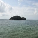 자연과 하루 | 천리포수목원 방문 후기｜자연과 힐링이 공존하는 하루