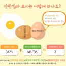 여시농장 이미지