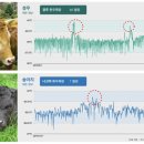 유라이크 이미지