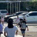 낭성어린이집 | 성인 마이코플라즈마 폐렴 입원 초기증상 입원기간 퇴원까지 정리