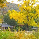 수락산도시자연공원 이미지