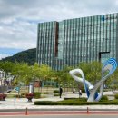 춘천시청 이미지