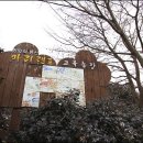 아리랜드 이미지