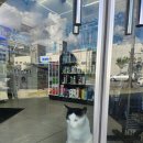 세광편의점 이미지