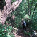 내지2리경로당 이미지