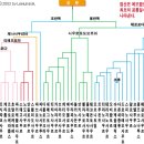 공룡의 분류 이미지