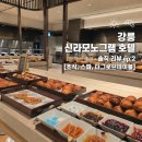 트리니티 작은도서관 | 디럭스 더블 오션뷰 호캉스 추천 내돈내산 리뷰[다이닝M조식,일출,더트리니티스파강릉,더그로브테이블]