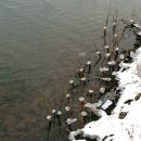 강가의 추억 이미지