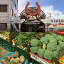 말바우주차장(제1주차장) | 말바우시장 장날 설날 온누리상품권 환급 주차정보