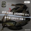 소양호 뱃터 이미지