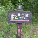 충북 영동 백화산 한성봉(CB-029,933m),주행봉(CB-037,874m)(20140719) 버섯구경... 이미지