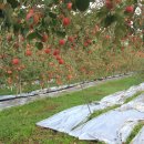 광덕1로11 이미지