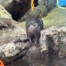 콩쥐네순두부 | 분명 꾸준히 쓴다고 했는데