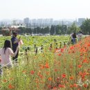 김우영 농장 이미지