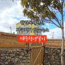 제주청년살이 이미지