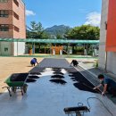 누원초등학교 이미지