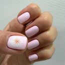 TL 애견미용실 | [대구 달서구 네일샵]상인동 근처 월성동 유지력좋은 네일샵 르미네일