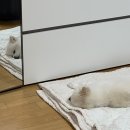 실패도 자산이다!