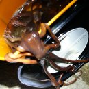 한림모텔 이미지