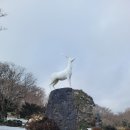 1100고지 휴게소 ↔ 제주시 방향 | 그림같은 설경을 자랑하는 제주 1100고지/제주겨울여행후기