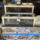 바다산꼼장어 | [해운대 꼼장어 맛집] :: 바다산곰장어 :: 내돈내산 불향 가득한 꼼장어랑 볶음밥 후기