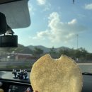 하늘밭, 봄 | 북스테이숙소 하늘밭, 봄