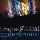 (팝-전자음악) Jon Anderson의 앨범[The Deseo Remixes] Transglobal Underground - Intercity 125 Mix 이미지