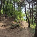 부모산공원 네이버블로그