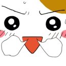 봄을담아 이미지