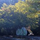 운주산농장 이미지