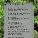 한북 천마지맥 2구간 철마북봉~마치고개 이미지