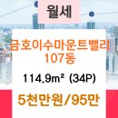 동수사랑 동물병원 이미지
