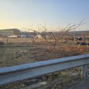 솔라공인중개사사무소 이미지