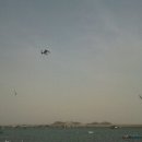 바다와 구이 이미지