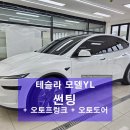 루마버텍스평택진위점 | 평택 오산 테슬라 모델 YL 루마버텍스 썬팅 + 오토 도어 + 오토 프렁크 + 본넷 PPF