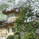 흙집이야기펜션 이미지