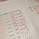 초등문해 | 독해와 문해가 안된다면 어휘부터!!! 빠작 초등 국어 어휘 1단계