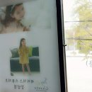 세이치즈 이미지