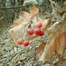 정다운마을 이미지