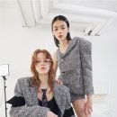 홀리 이미지