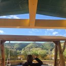 참요양병원 | 무등산생태요양병원 후기 가을 국화꽃과 함께