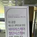 우리끼리키즈카페자동차마을세종 이미지