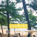 방죽포해수욕장(송림) 네이버블로그