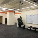 크로스핏 코알라 이미지