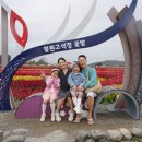 3243 | 2025 가을축제 고석정 꽃밭 철원 가족여행 후기