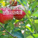 문경IC낚시 | 문경사과축제 기본정보 가을의 매력을 더하는 데이트코스