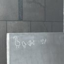 피오엘